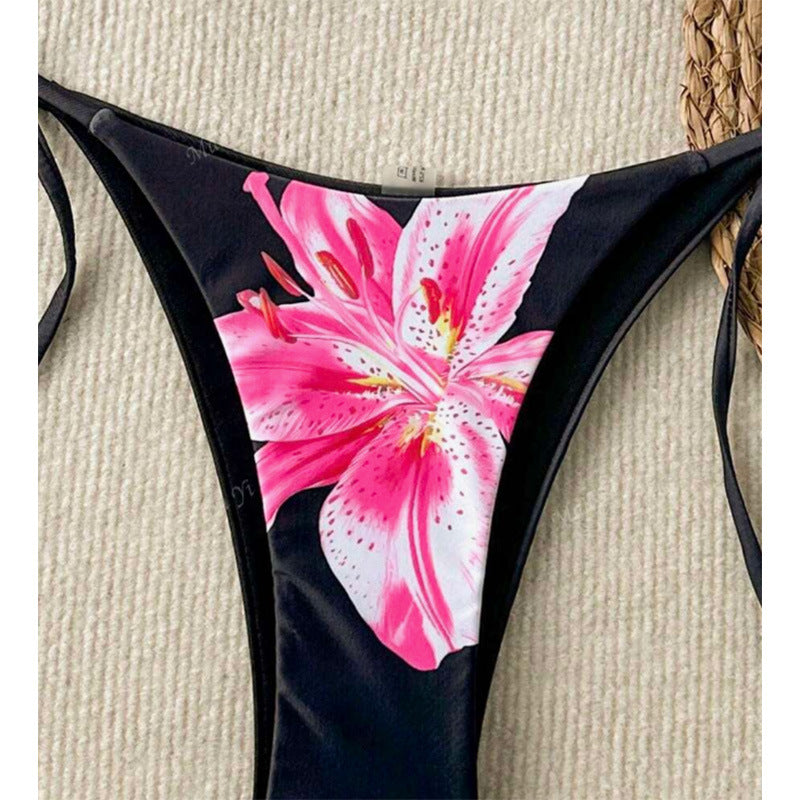 Cross-border New Split Swimsuit Women's Hot Bikini European and American Sexy Gather Pure Desire Printing High-end Bikini