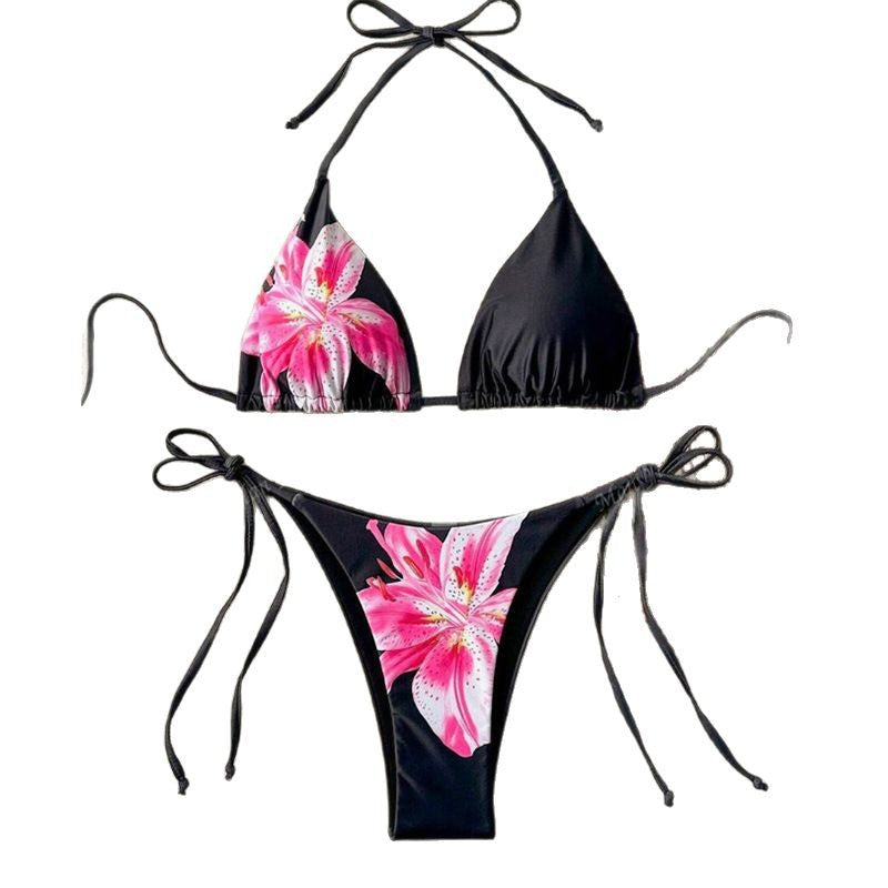 Cross-border New Split Swimsuit Women's Hot Bikini European and American Sexy Gather Pure Desire Printing High-end Bikini