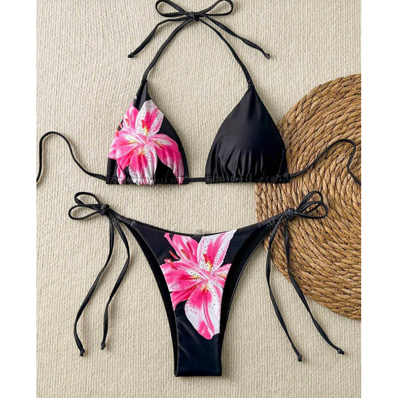 Cross-border New Split Swimsuit Women's Hot Bikini European and American Sexy Gather Pure Desire Printing High-end Bikini